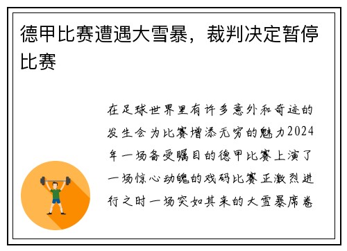 德甲比赛遭遇大雪暴，裁判决定暂停比赛
