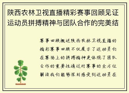 陕西农林卫视直播精彩赛事回顾见证运动员拼搏精神与团队合作的完美结合